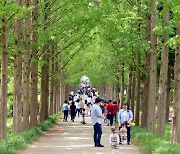 전남산림자원연구소 '유아숲 페스티벌' 참가 가족 모집