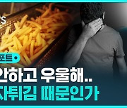 [D리포트] "감자튀김 자주 먹으면 불안 · 우울증 위험 높아져"