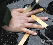 Germany Climate Protests