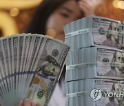 외환보유액 IMF 권고 3년째 미달