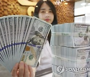 외환보유액 IMF 권고 3년째 미달