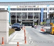 경주 야산에 소 사체 버려져…시, 조사 나서