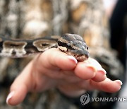 CROATIA REPTILE EXHIBITION