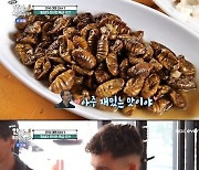 스위스 그레고, 번데기 식감에 매료..."아주 재밌는 맛이야"('어서와 한국은')