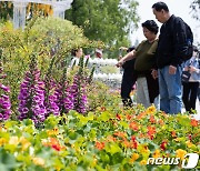 나는 저 꽃이 예뻐