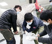 한국마사회 경주마 재활 지원 프로그램 확대, 재활 활성화 선순환 기대