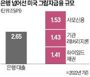 美 은행 위기는 '빙산의 일각'…그림자 금융도 위험하다