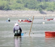 하동·광양 재첩잡이 손틀어업 세계중요농업유산 등재 실사