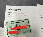 '소득 1억 인증' 아멕스 카드 자랑하다…10분 만에 1,200만 원 '증발'