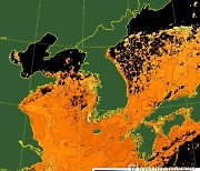 “이게 뭔일? 펄펄 끓는 바다, 한달 넘게 역대급 수온”…학계 “설명 불가”