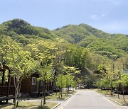 연천군, ‘힐링명소’ 고대산자연휴양림 운영 개시