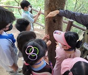 "숲에서 힐링하세요"…동작구 무료 '숲 해설프로그램'