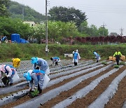 진주북부농협, 농가주부모임과 함께 옥수수 심기 행사…“수확 후 소외계층 나눔”