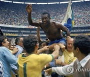 Soccer Brazil Pele Dictionary