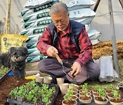 평산책방 文 키운 새싹 하루 100명씩 선착순 증정