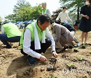 생생텃밭 쌈채소 심는 우상호 의원