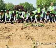 생생텃밭 쌈채소 심는 여야 의원들