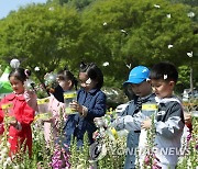 나비 날려 보내는 아이들