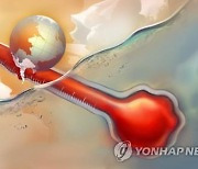 '열받은' 바다…관측 이래 최고 온도에 학계 "설명불가"