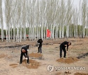 CHINA DESERT