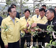 [포토] 냉해피해농가 방문한 이성희 농협회장