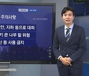 [기상센터] 29일 전국에 요란한 봄비…낙뢰 시 주의할 점은?