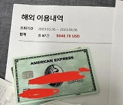 '아멕스 카드' 뭐길래…자랑글 올렸다가 10분 만에 1200만원 털렸다