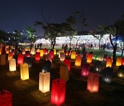 이렇게 예쁜 원주를 보았나…한지·양귀비·장미 ‘축제 가득’