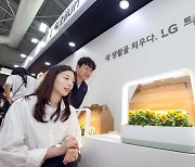 LG 틔운, 고양국제꽃박람회서 ‘반려식물 라이프’ 알린다