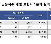 회계제도 변경에 보험사 웃었다…두자릿수 이상 성장[머니뭐니]