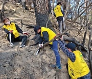 강서구, 강릉 산불 복구 자원봉사자 파견…성금 1004만원 전달