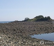 제주판 '모세의 기적' 서건도서 몰래 캠핑하다 불낸 30대 남녀