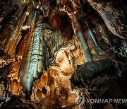 "단양 고수동굴 안전 불감증 심각"…노조 측 내부고발