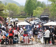 [포토]캠핑요리 집중하는 참가자들