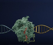 韓, '세계 최고' 차세대 유전자 가위 설계 기술 개발