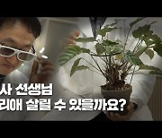 식집사들이 지켜야할 원칙 두가지는?…‘반려식물 종합병원’ 가보니[현장에서]