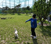 펫보험 활성화 어떻게?…금융위 '반려동물 간편 등록' 등 방안 내놓는다