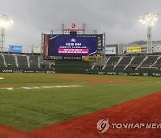 3956일만의 7연승 롯데 사직경기 비로 취소, 30일 키움 안우진 상대로 8연승 도전