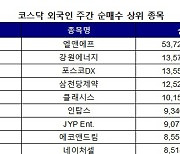 코스닥 외국인 주간 순매수 1위 '엘앤에프'