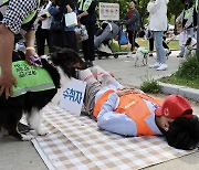 "우리동넨 내가 지킬개"…서울시, 반려견 방범 순찰대 출동