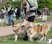 반려견 순찰대는 순찰중