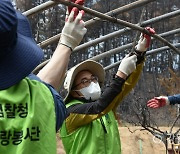 이원석 검찰총장, 강릉 산불피해지 방문 봉사활동