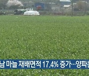 경남 마늘 재배면적 17.4% 증가…양파는 줄어