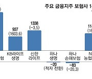 깜짝실적 손보사 '1위 금융지주'도 바꿨다