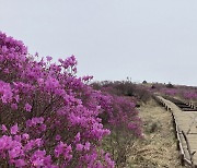 국립공원, 여의도 12배 면적(36㎢) 확대…제3차 국립공원계획 변경 확정