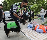 '주취자 발견'