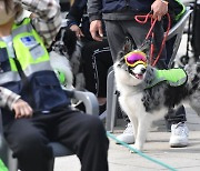 '우리 동네 안전은 나에게 맡기세요'