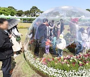 "함평 나비축제 즐겨요"