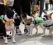 ‘우리가 바로 반려견 순찰대’