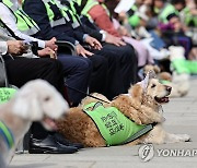 반려견 순찰대 발대식